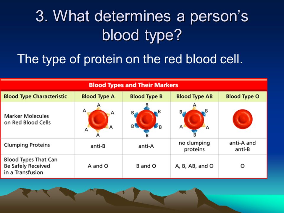 3. What determines a person’s blood type