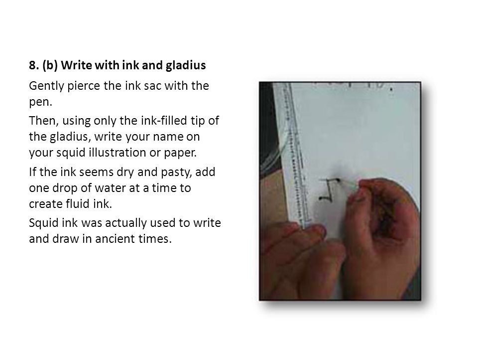 8. (b) Write with ink and gladius