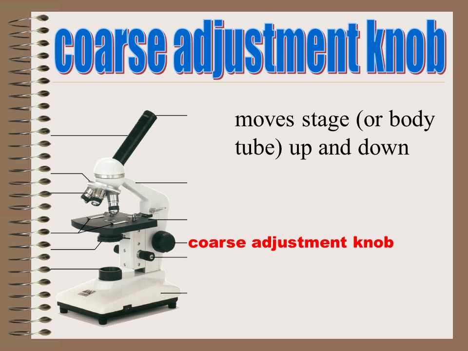 coarse adjustment knob