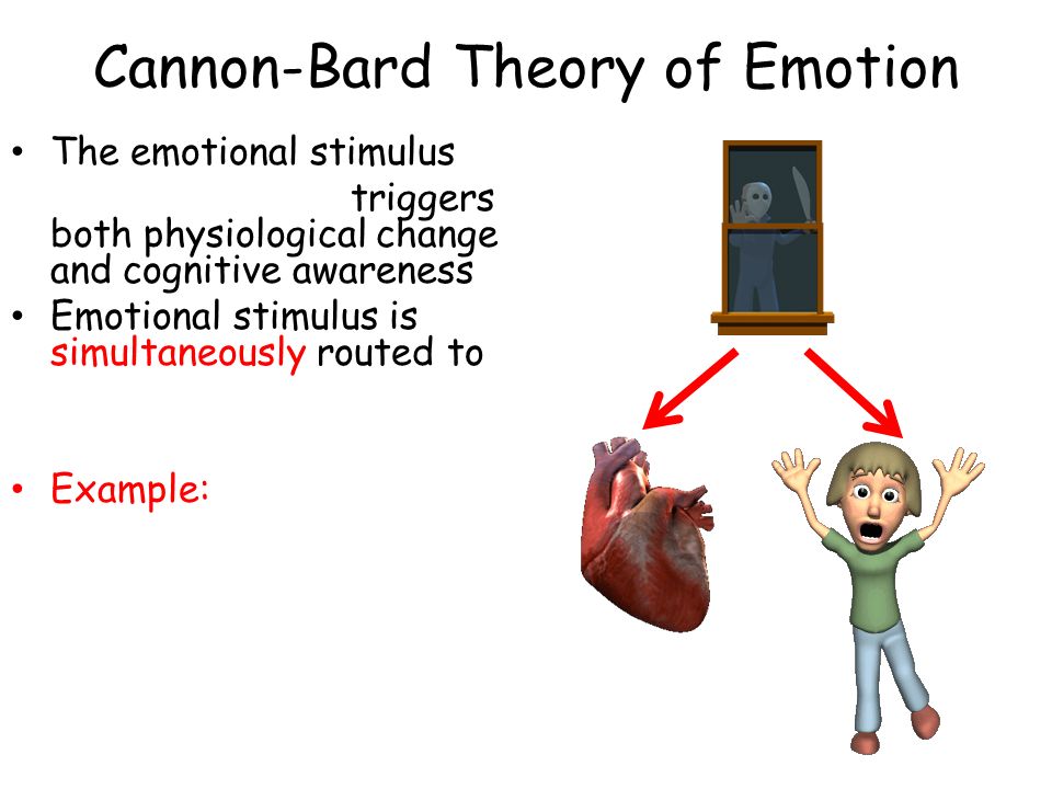 3 what is the cannon bard theory of emotion
