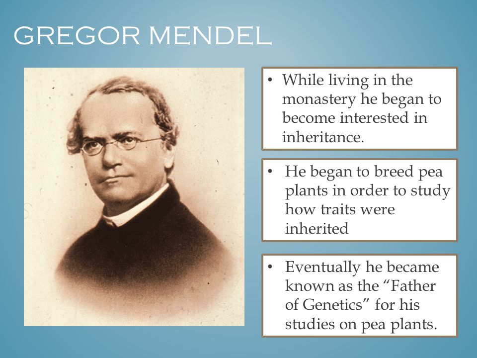 gregor mendel short biography
