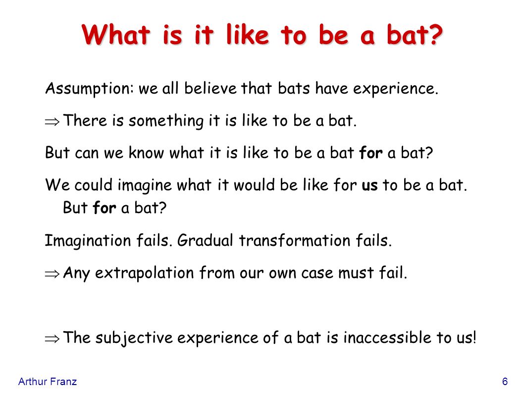 What is it like to be a bat? - ppt video online download