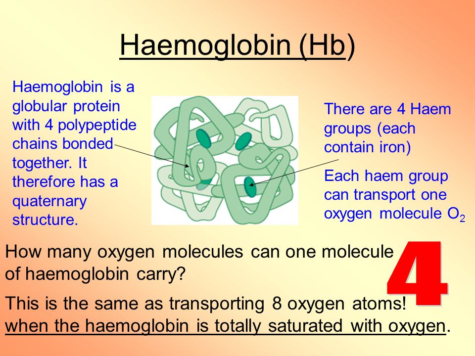 Haemoglobin And Oxygen Dissociation Curves Ppt Video Online Download These different properties are commonly described by the oxygen binding curve (also called the oxygen dissociation curve when the curve is read backwards). oxygen dissociation curves