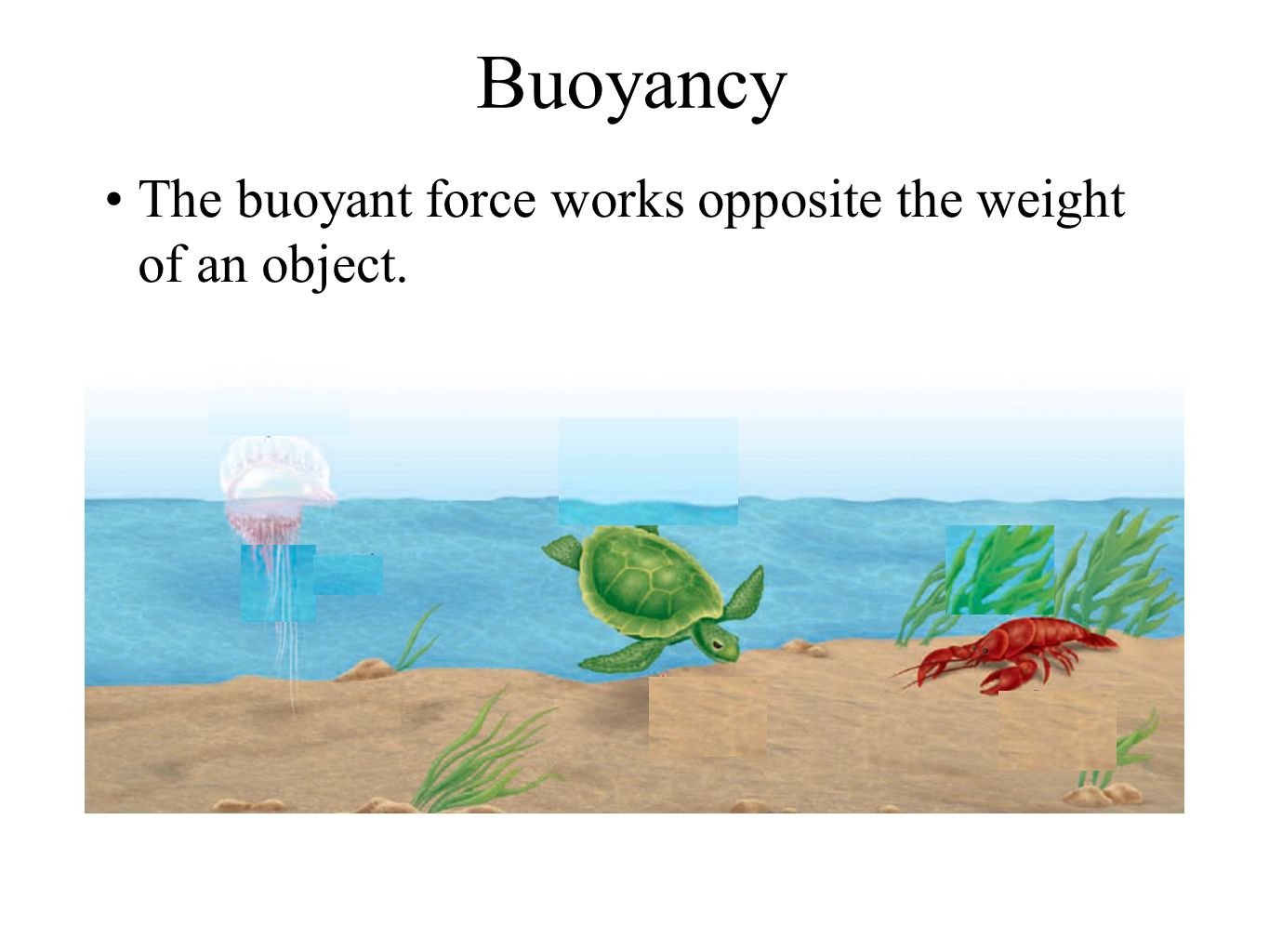 Buoyancy The buoyant force works opposite the weight of an object.