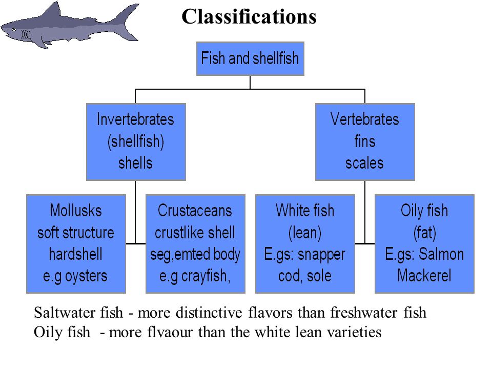 Fish Classification Chart