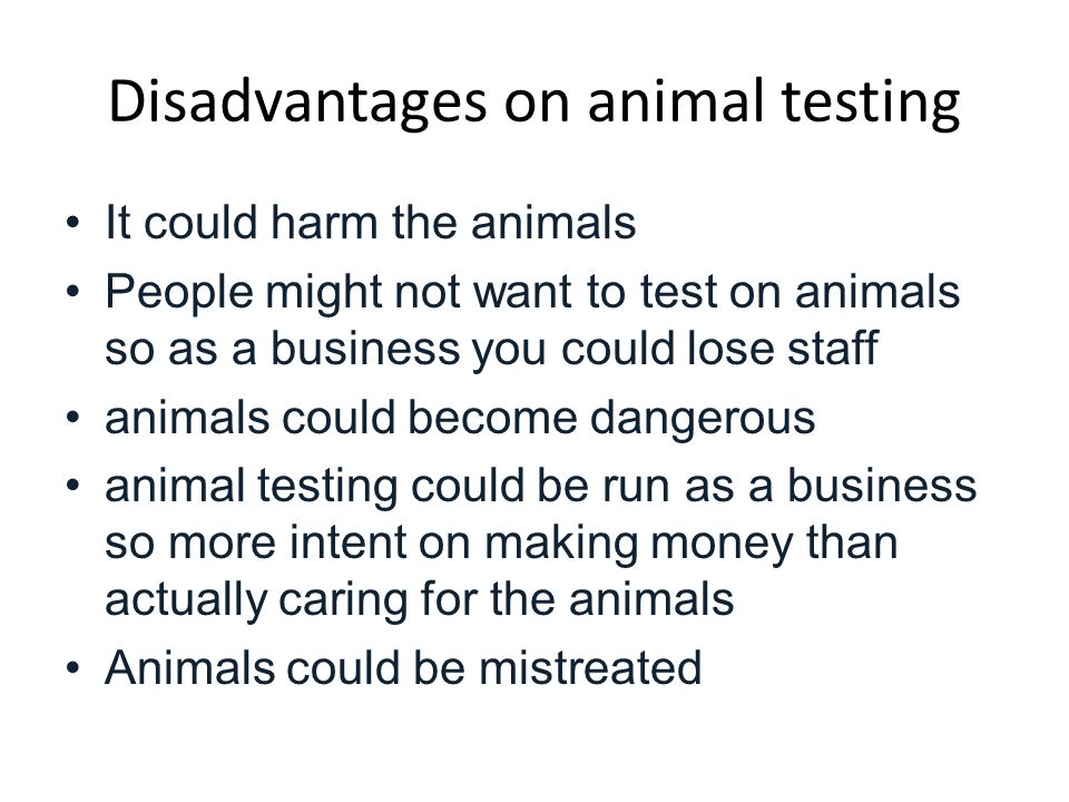 Animal testing By Taine Murray. - ppt video online download