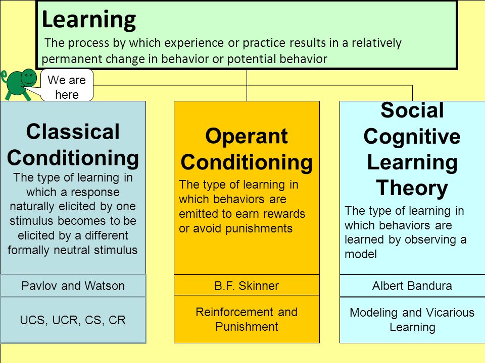 classical conditioning operant conditioning and social learning theory