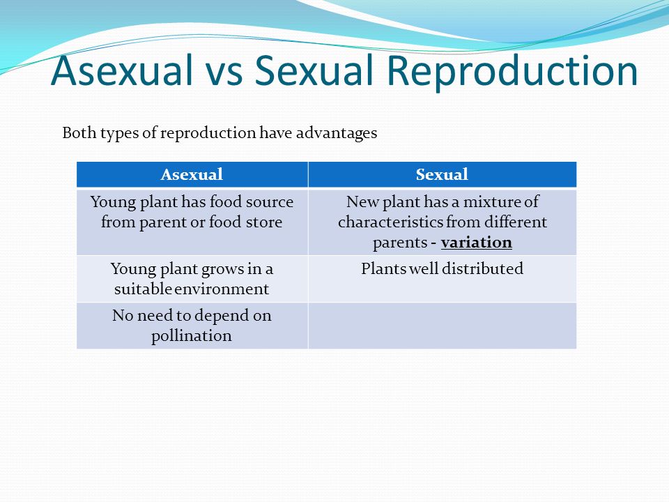 Asexual and sexual reproduction interactive lesson