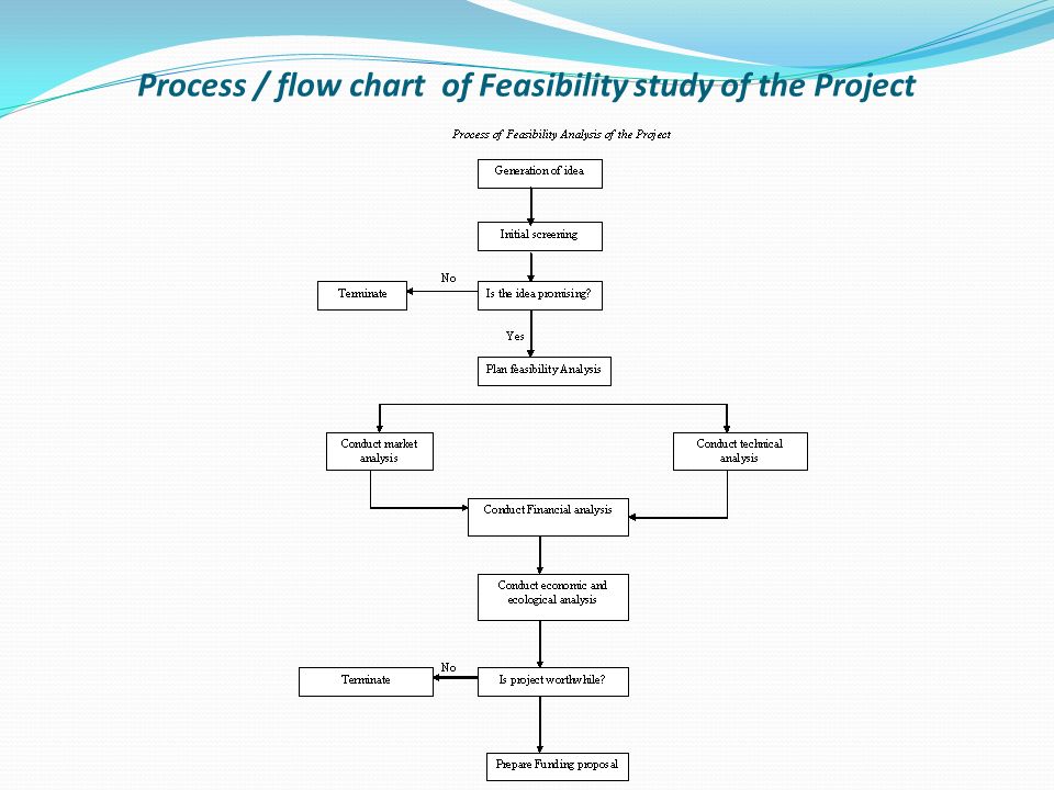 Feasibility Study Process Flow Chart