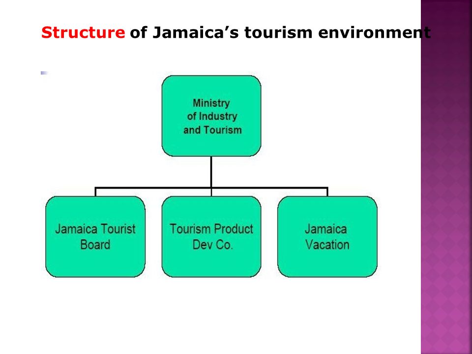 Parish Council Organizational Chart In Jamaica