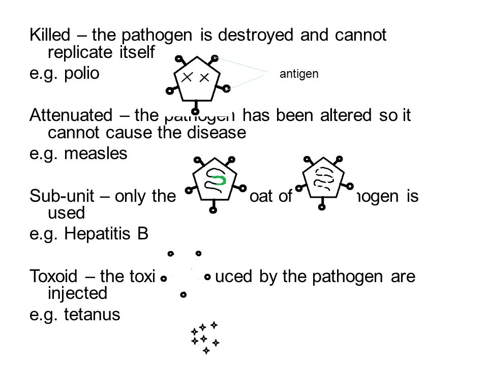Killed – the pathogen is destroyed and cannot replicate itself e. g