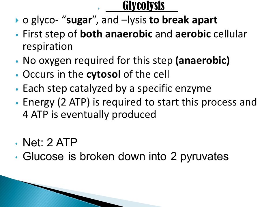 o glyco- sugar , and –lysis to break apart