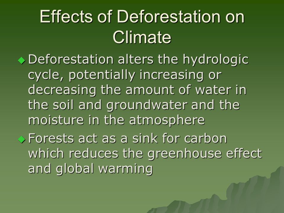 effects of deforestation in points