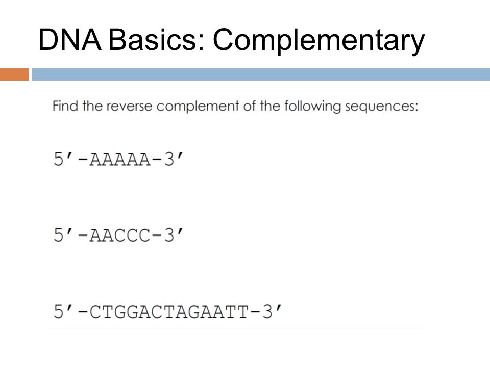 DNA Basics: Complementary