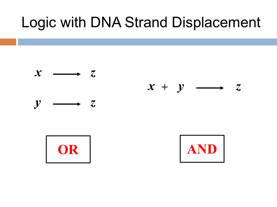 Logic with DNA Strand Displacement