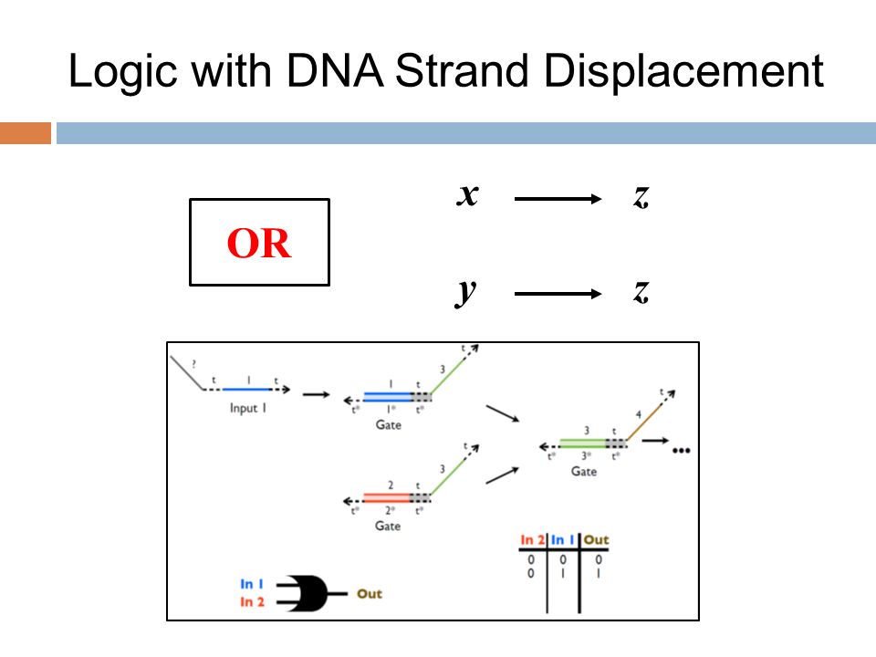Logic with DNA Strand Displacement
