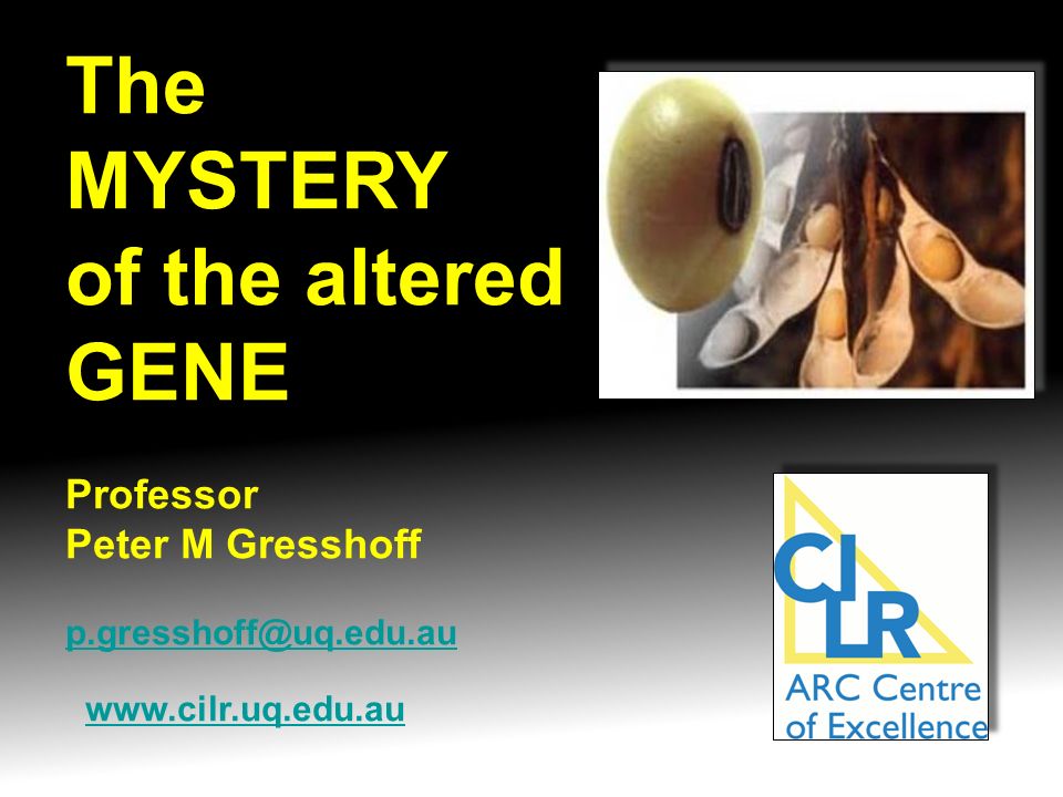 The MYSTERY of the altered GENE   Professor
