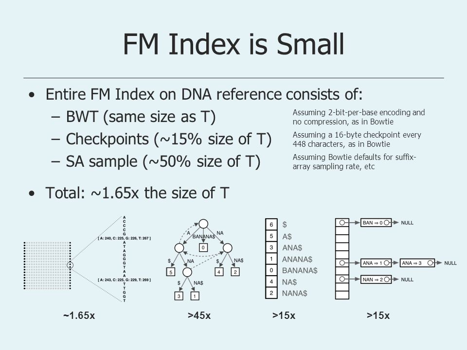 FM Index is Small Entire FM Index on DNA reference consists of: