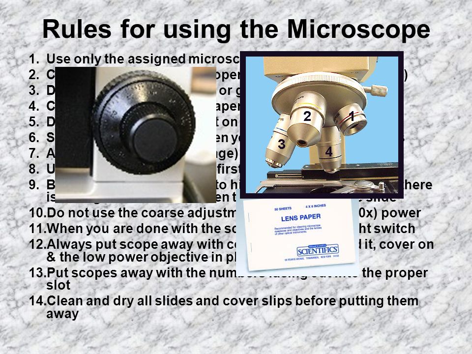 Rules for using the Microscope