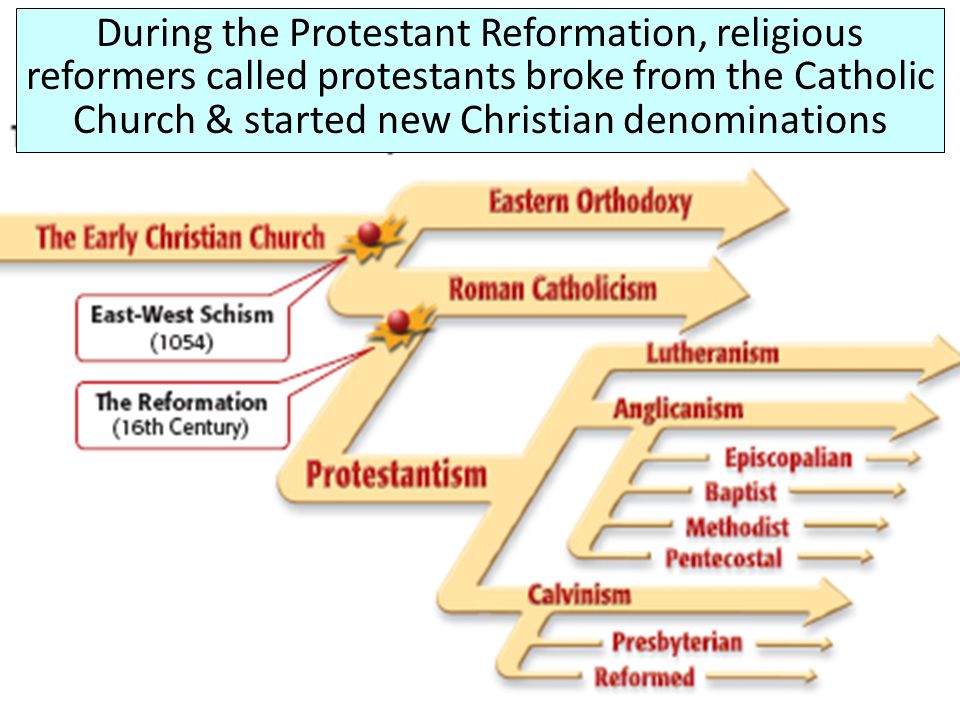43 How did the catholic church respond to the protestant reformation 