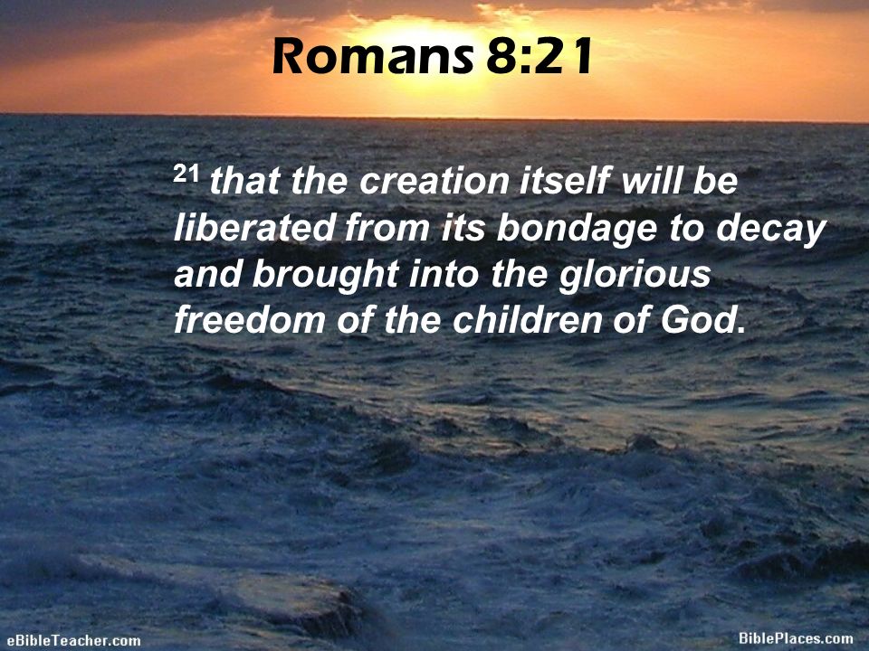 Romans 8:21 21 that the creation itself will be liberated from its bondage to decay and brought into the glorious freedom of the children of God.