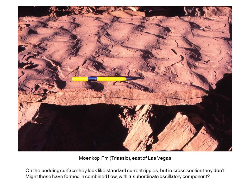 Moenkopi Fm (Triassic), east of Las Vegas