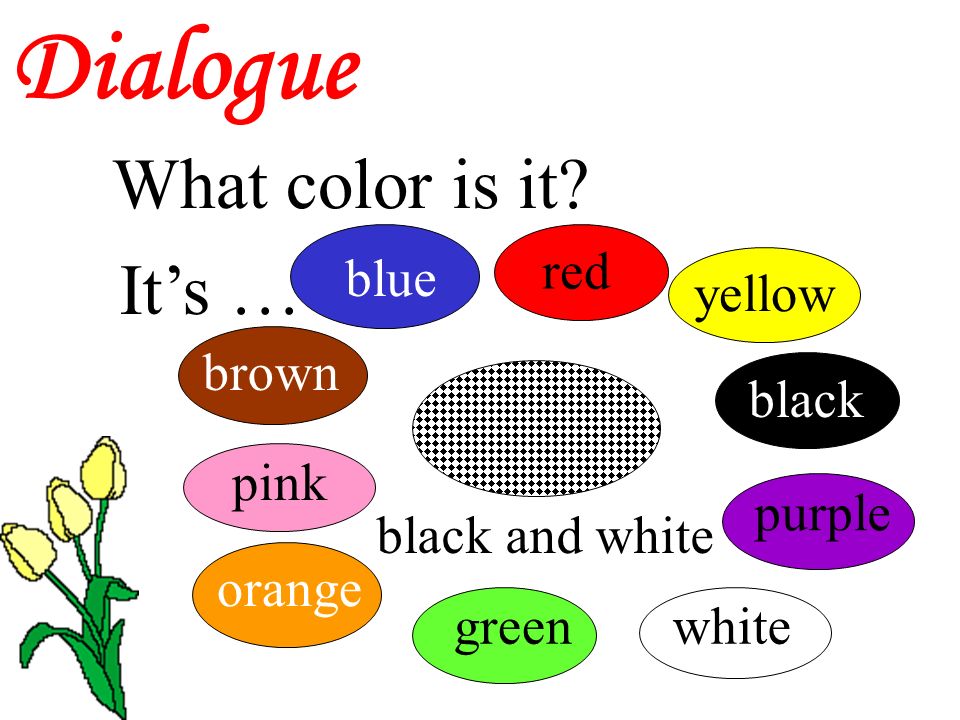 Dialogue What color is it? 