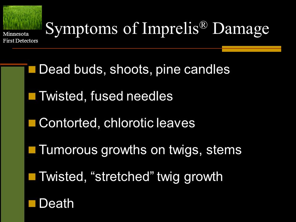 Symptoms of Imprelis® Damage