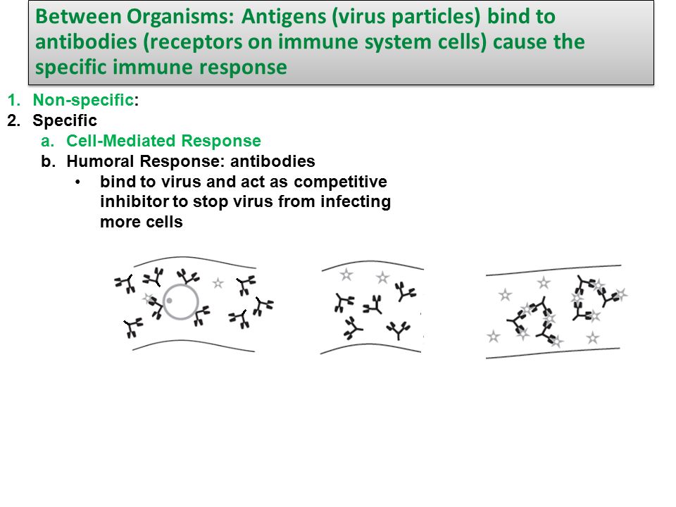 Unit 4 Cell Communication Ppt Download