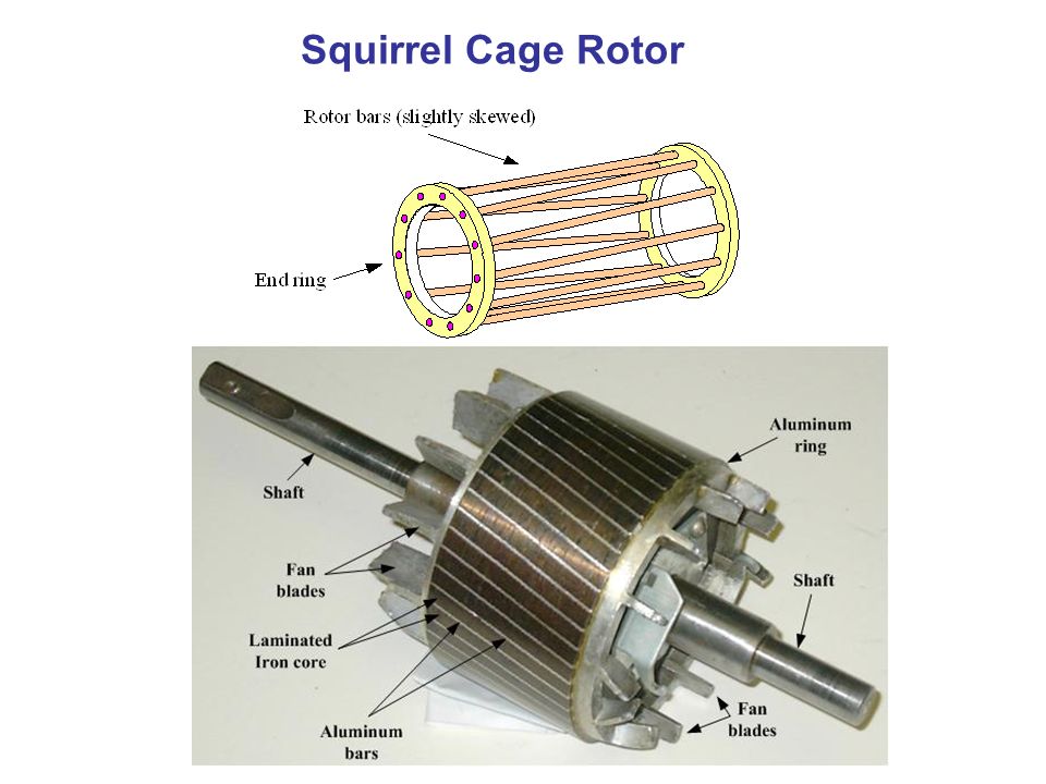 Squirrel Cage Rotor.