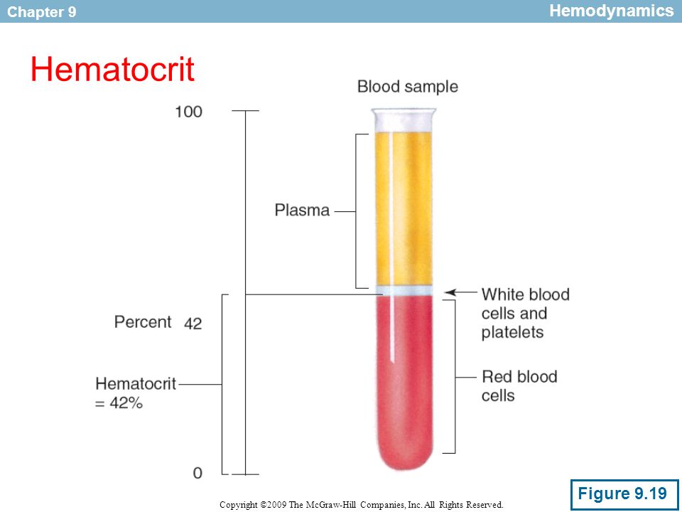 Hct в крови. Плазма крови. Сыворотка крови картинка. Плазма крови или сыворотка крови для анализа.