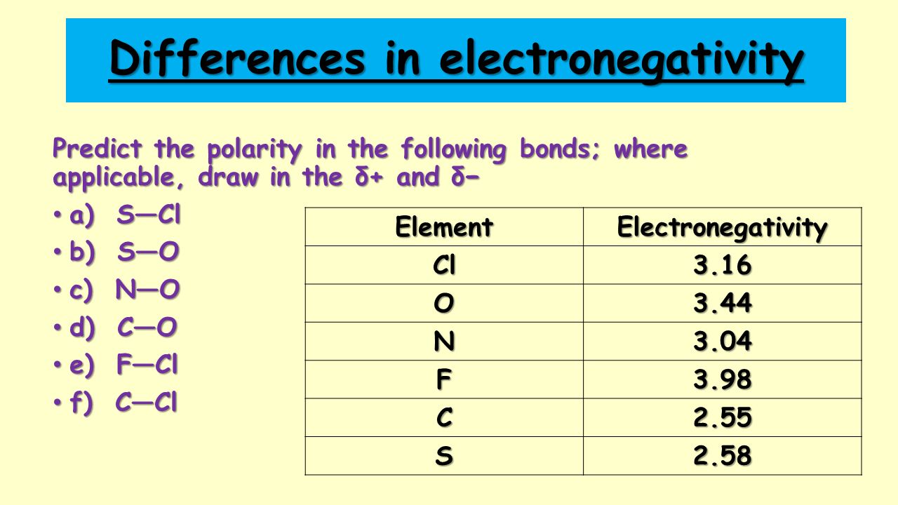 Starter Spot The Errors Ppt Video Online Download
