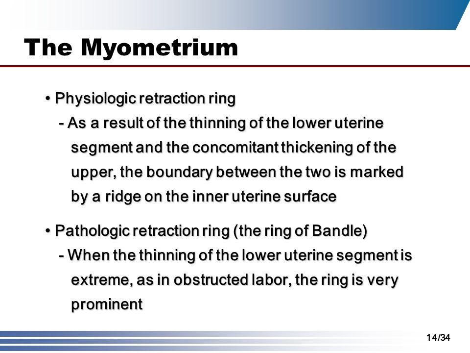The+Myometrium+%E2%80%A2+Physiologic+retraction+ring