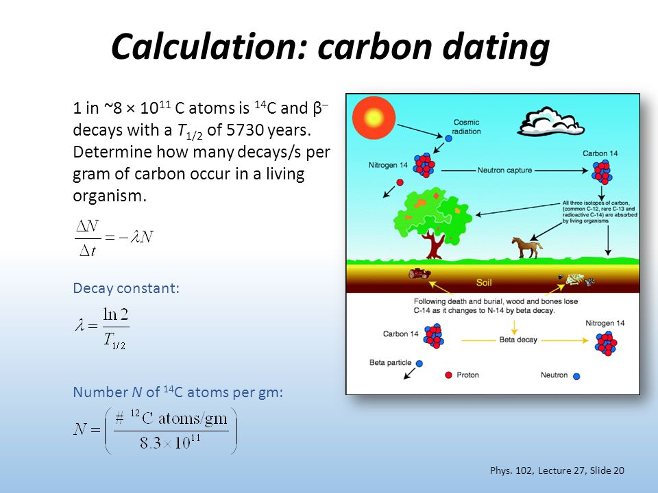 carbon dating equation calculator jimin bts dating seulgi red velvet