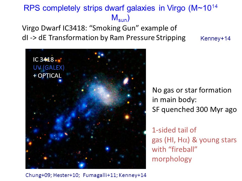 Strong pressure in the Coma cluster galaxy NGC 4921 : dense cloud decoupling & evidence for magnetic binding in the ISM Jeff Kenney (Yale) - ppt download