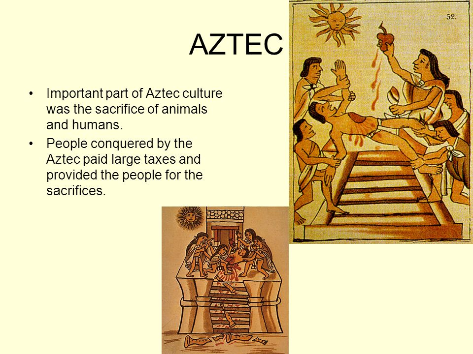 AZTEC Important part of Aztec culture was the sacrifice of animals and humans.