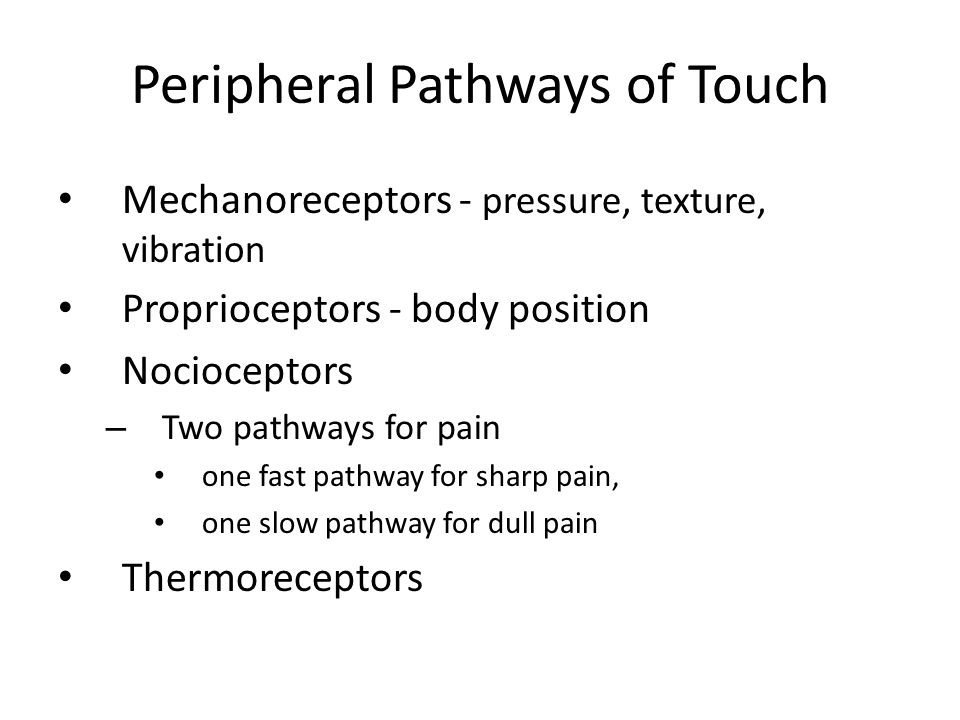Peripheral Pathways of Touch
