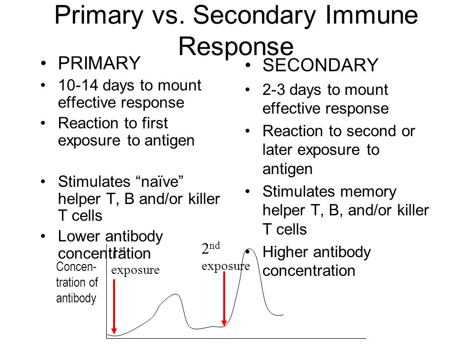 Secondary system. Primary secondary. Secondary immune response. Primary и secondary раздел на HDD. Demand response презентация.