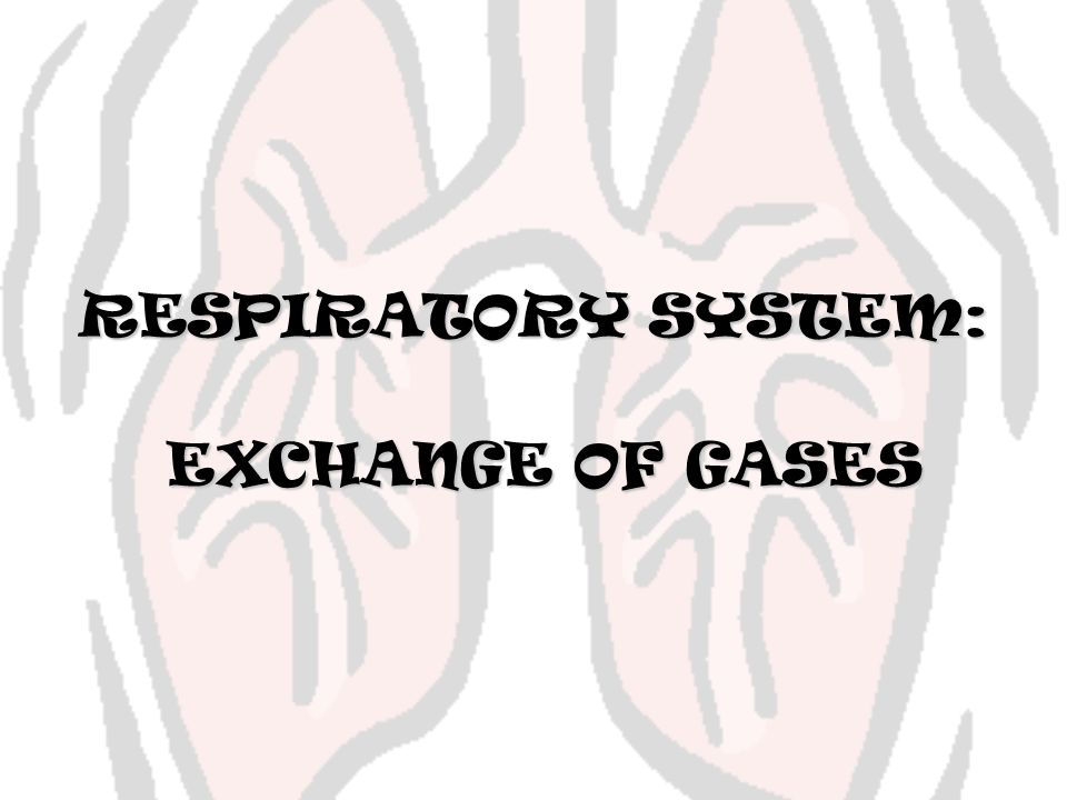 RESPIRATORY SYSTEM: EXCHANGE OF GASES