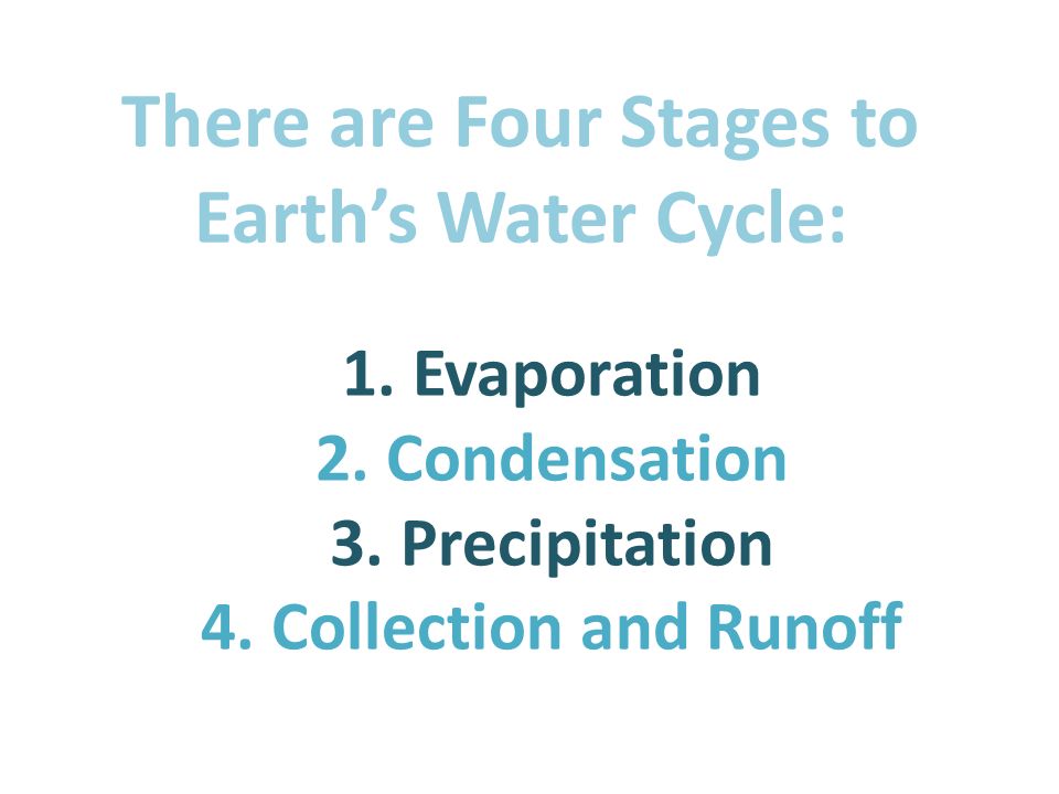 There are Four Stages to Earth’s Water Cycle: