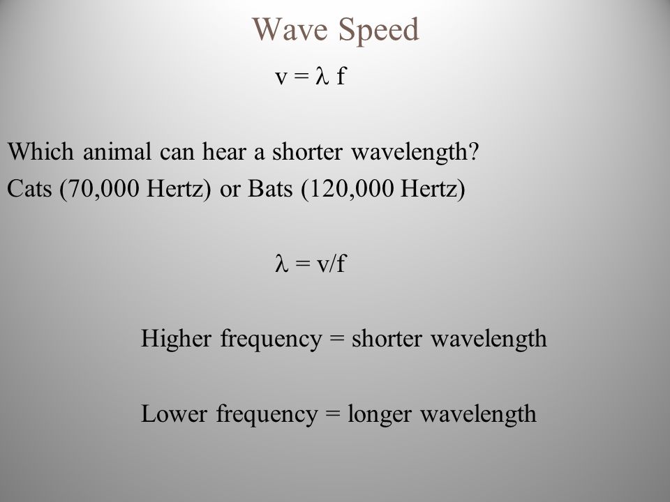 Physical Science Waves - ppt download