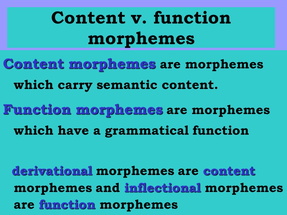 Morphology Definition Variability Among Languages Ppt Video Online Download