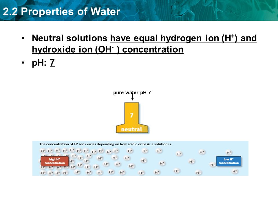 Neutral solutions have equal hydrogen ion (H+) and hydroxide ion (OH- ) concentration
