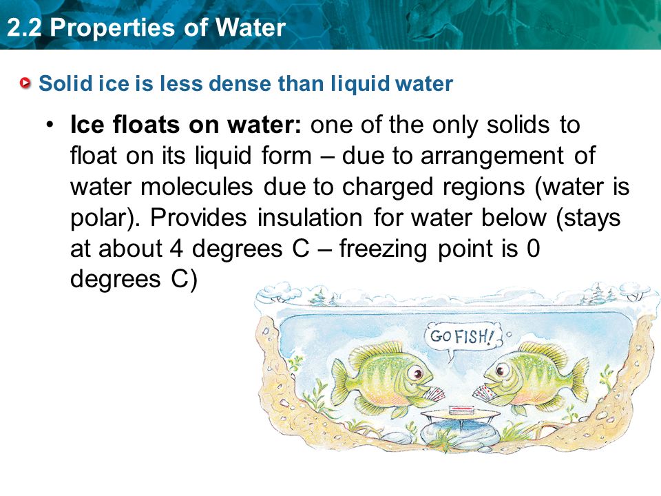Solid ice is less dense than liquid water