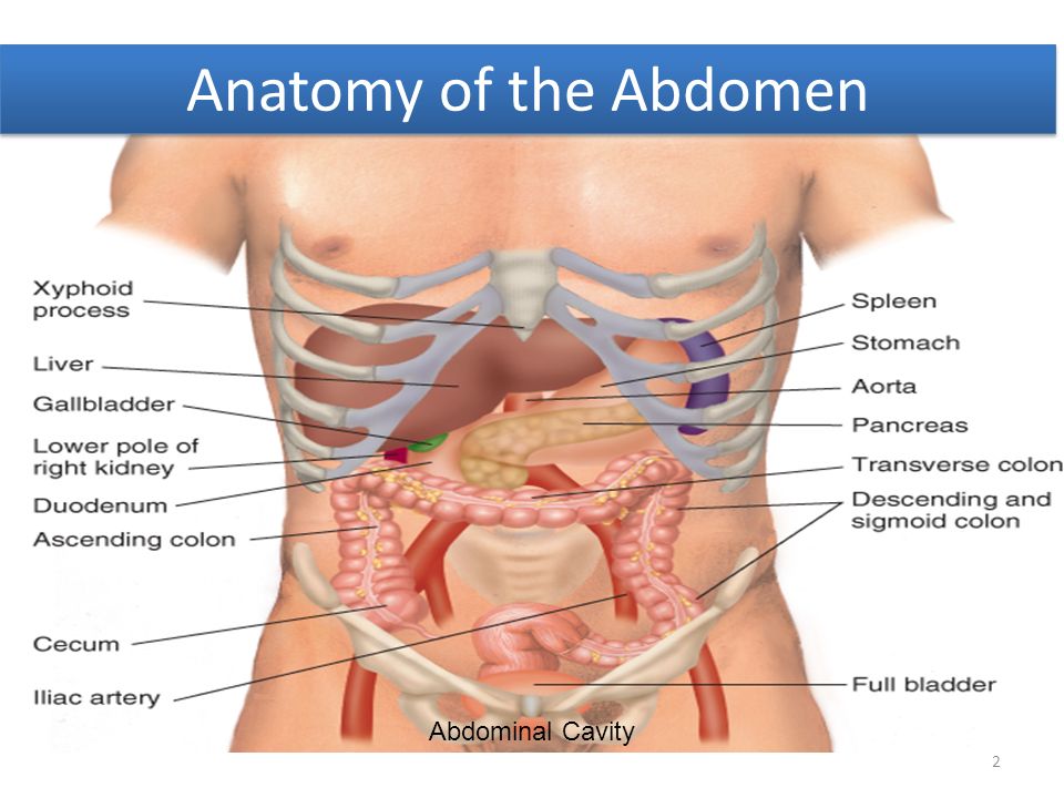 Causas abdomen distendido Causas abdomen distendido