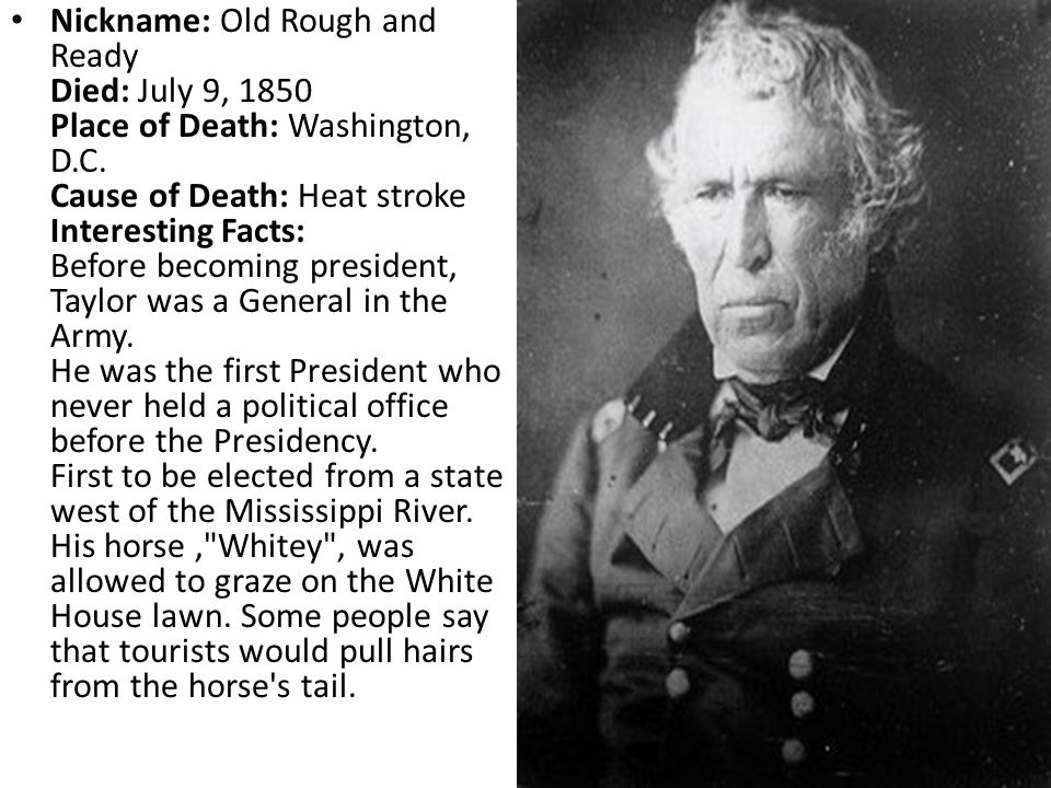 zachary taylor facts zachary taylor fun facts zachary taylor interesting facts zachary taylor childhood facts