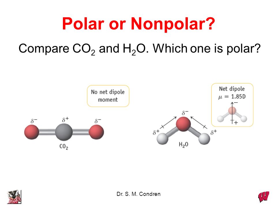 Polar or Nonpolar? 