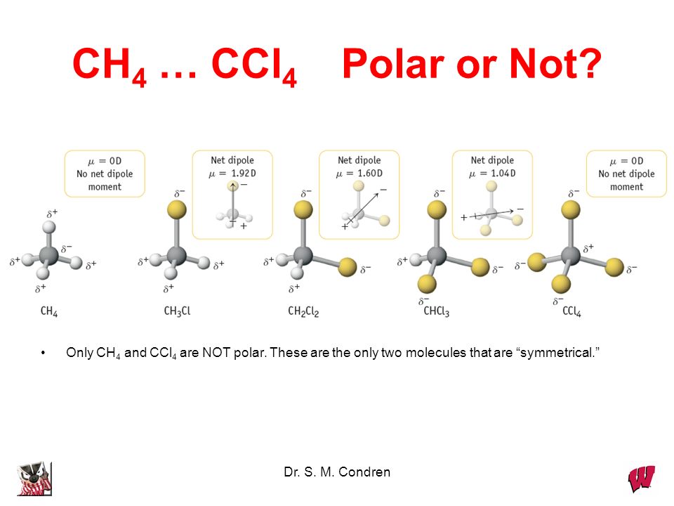 Only CH4 and CCl4 are NOT polar. 