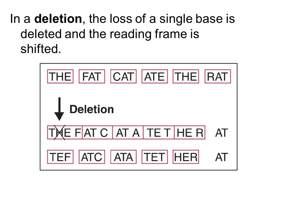 In a deletion, the loss of a single base is deleted and the reading frame is shifted.