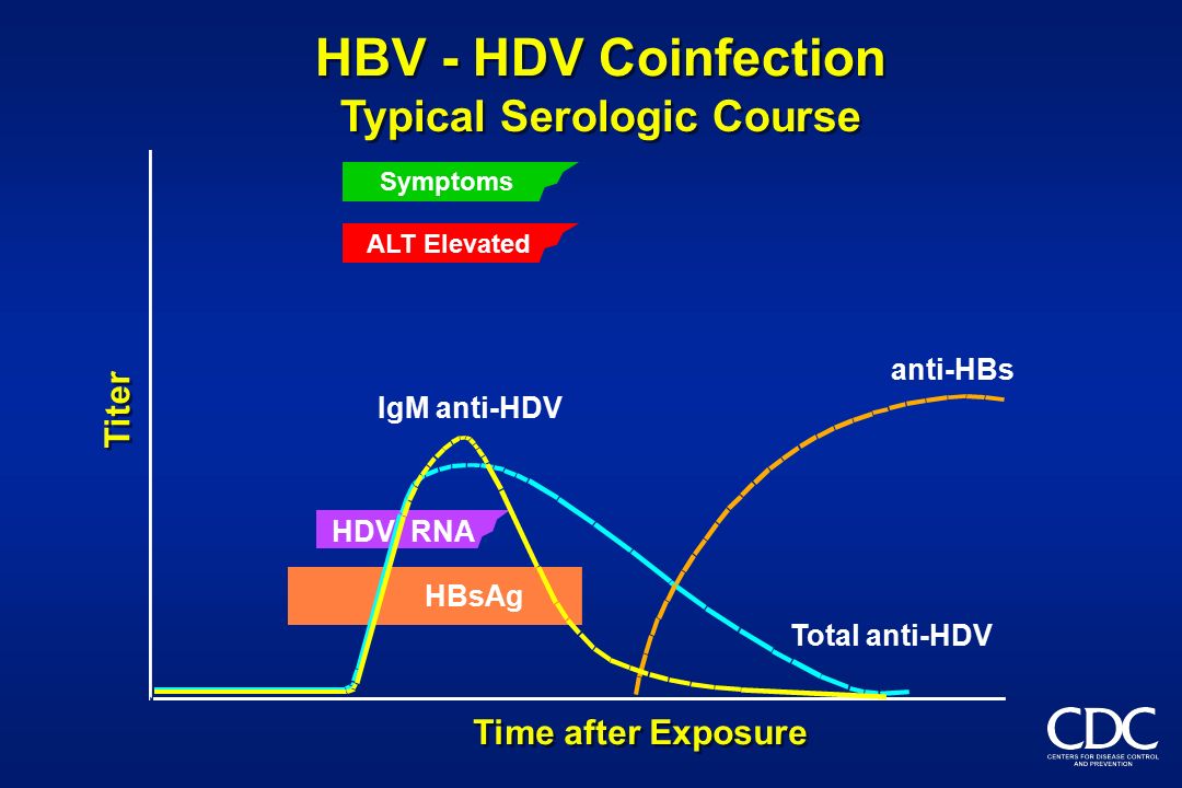 Hdv coinfection. Anti HBS total. РНК Hdv. Viral Hepatitis d superinfection coinfection. Anti hcv igm
